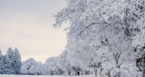 Якою буде погода у Луцьку та на Волині у неділю, 1 лютого Якою-буде-погода-у-Луцьку-та-на-Волині-у-неділю,-1-лютого