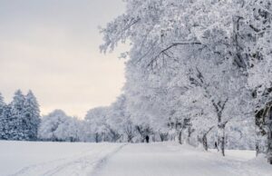Якою буде погода у Луцьку та на Волині у неділю, 1 лютого Якою-буде-погода-у-Луцьку-та-на-Волині-у-неділю,-1-лютого