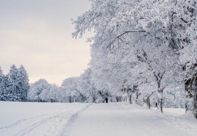 Якою буде погода у Луцьку та на Волині у неділю, 1 лютого Якою-буде-погода-у-Луцьку-та-на-Волині-у-неділю,-1-лютого