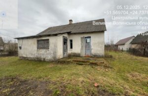 На Ковельщині за 200 тисяч продають будівлю ветлікарні. Фото На-Ковельщині-за-200-тисяч-продають-будівлю-ветлікарні.-Фото