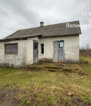 На-Ковельщині-за-200-тисяч-продають-будівлю-ветлікарні.-Фото На-Ковельщині-за-200-тисяч-продають-будівлю-ветлікарні.-Фото