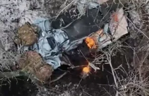 Українські Сили оборони показали розгром чотирьох взводів росіян на Покровському напрямку Українські-Сили-оборони-показали-розгром-чотирьох-взводів-росіян-на-Покровському-напрямку