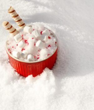 Чи-можна-їсти-сніг-для-розваги-чи-виживання:-лікарі-дали-вичерпну-відповідь Чи-можна-їсти-сніг-для-розваги-чи-виживання:-лікарі-дали-вичерпну-відповідь