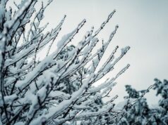 Лютий в Україні стартує з потужних морозів: прогноз погоди на сьогодні Лютий-в-Україні-стартує-з-потужних-морозів:-прогноз-погоди-на-сьогодні