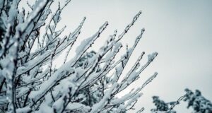 Лютий в Україні стартує з потужних морозів: прогноз погоди на сьогодні Лютий-в-Україні-стартує-з-потужних-морозів:-прогноз-погоди-на-сьогодні