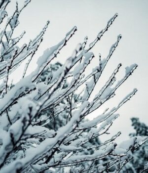 Лютий-в-Україні-стартує-з-потужних-морозів:-прогноз-погоди-на-сьогодні Лютий-в-Україні-стартує-з-потужних-морозів:-прогноз-погоди-на-сьогодні