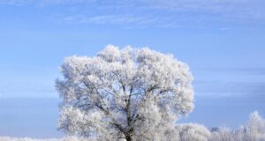 Лютий в Україні почнеться з сильних морозів, тільки в одній області буде “плюс” Лютий-в-Україні-почнеться-з-сильних-морозів,-тільки-в-одній-області-буде-“плюс”