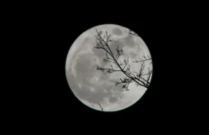 Повний сніжний Місяць у лютому освітить небо: коли і як його побачити Повний-сніжний-Місяць-у-лютому-освітить-небо:-коли-і-як-його-побачити