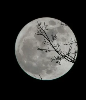 Повний-сніжний-Місяць-у-лютому-освітить-небо:-коли-і-як-його-побачити