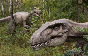 Мали не лише луску: вчені з’ясували, якою на дотик була шкіра динозаврів Мали-не-лише-луску:-вчені-з’ясували,-якою-на-дотик-була-шкіра-динозаврів