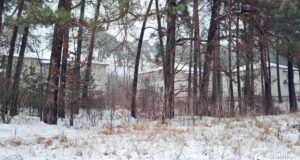 Чому розгорівся скандал із землею під Луцьком, яку орендує фірма сім’ї Палиць Чому-розгорівся-скандал-із-землею-під-Луцьком,-яку-орендує-фірма-сім’ї-Палиць