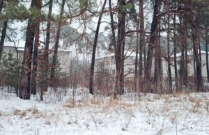 Чому розгорівся скандал із землею під Луцьком, яку орендує фірма сім’ї Палиць Чому-розгорівся-скандал-із-землею-під-Луцьком,-яку-орендує-фірма-сім’ї-Палиць