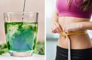 Хлорофіл для схуднення: звідки взявся тренд і чому він не працює Хлорофіл-для-схуднення:-звідки-взявся-тренд-і-чому-він-не-працює
