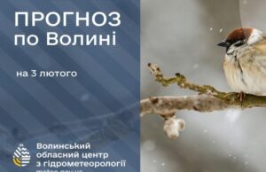 Якою буде погода у Луцьку та на Волині у вівторок, 3 лютого Якою-буде-погода-у-Луцьку-та-на-Волині-у-вівторок,-3-лютого