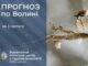 Якою буде погода у Луцьку та на Волині у вівторок, 3 лютого Якою-буде-погода-у-Луцьку-та-на-Волині-у-вівторок,-3-лютого