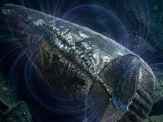 Найдавніша система навігації тварин існувала щонайменше 97 мільйонів років тому Найдавніша-система-навігації-тварин-існувала-щонайменше-97-мільйонів-років-тому