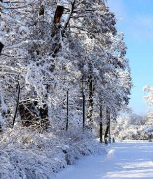 3-лютого:-церковне-свято-сьогодні,-кого-просять-за-здоровʼя-дітей