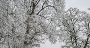 Сильні морози по всій Україні: якою буде погода сьогодні Сильні-морози-по всій-Україні:-якою-буде-погода-сьогодні