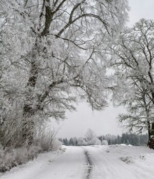 Сильні-морози-по всій-Україні:-якою-буде-погода-сьогодні