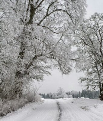 Сильні морози по всій Україні: якою буде погода сьогодні Сильні-морози-по всій-Україні:-якою-буде-погода-сьогодні