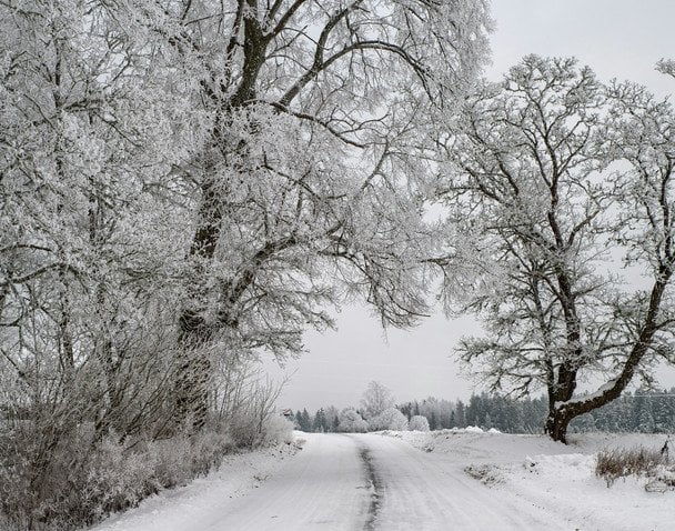 Сильні морози по всій Україні: якою буде погода сьогодні Сильні-морози-по всій-Україні:-якою-буде-погода-сьогодні