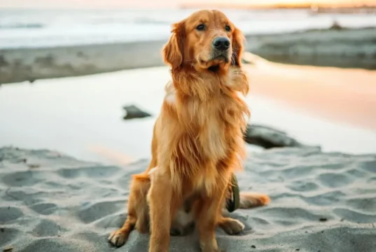 В Україні 3 лютого святкують кілька унікальних свят: які прикмети В Україні 3 лютого святкують кілька унікальних свят: які прикмети