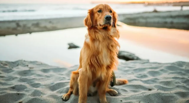 В Україні 3 лютого святкують кілька унікальних свят: які прикмети В Україні 3 лютого святкують кілька унікальних свят: які прикмети