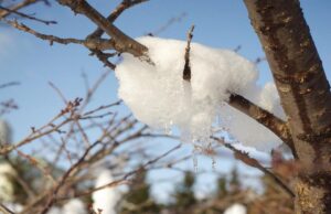 4 лютого українці відчують перші прояви потепління, – синоптикиня Діденко 4-лютого-українці-відчують-перші-прояви-потепління,-–-синоптикиня-Діденко