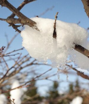 4-лютого-українці-відчують-перші-прояви-потепління,-–-синоптикиня-Діденко