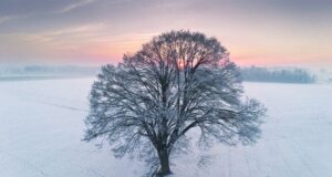 День ангела 5 лютого: кого та як вітати з іменинами День-ангела-5 лютого:-кого-та як вітати-з іменинами