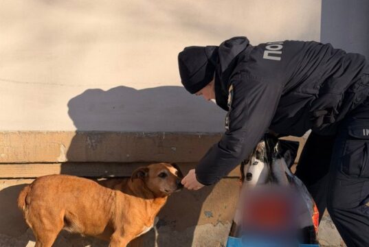 У Луцьку поліцейські підгодовують бездомних тварин у морози У-Луцьку-поліцейські-підгодовують-бездомних-тварин-у-морози