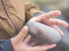 У Луцькому районі п’яний депутат погрожував поліцейському та пошкодив авто У-Луцькому-районі-п’яний-депутат-погрожував-поліцейському-та-пошкодив-авто