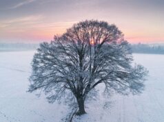 Погода на 6 лютого: де в Україні замість морозу очікується плюсова температура та опади Погода-на-6-лютого:-де-в-Україні-замість-морозу-очікується-плюсова-температура-та-опади