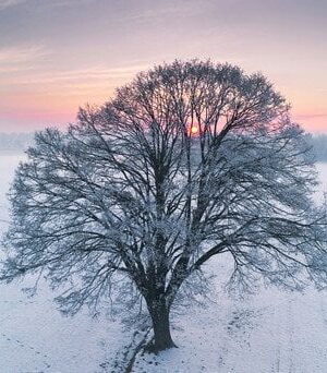 Погода-на-6-лютого:-де-в-Україні-замість-морозу-очікується-плюсова-температура-та-опади