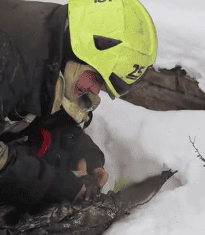 Вогнеборці-врятували-пухнастика-з пожежі-в Чернігові-(відео)