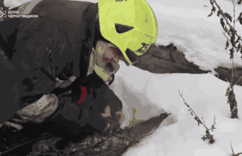 Вогнеборці врятували пухнастика з пожежі в Чернігові (відео) Вогнеборці-врятували-пухнастика-з пожежі-в Чернігові-(відео)