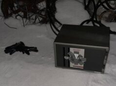 Троє лучан вкрали з будинку сейф з цінностями майже на 1,5 мільйона гривень. ФОТО Троє-лучан-вкрали-з-будинку-сейф-з-цінностями-майже-на-1,5-мільйона-гривень.-ФОТО
