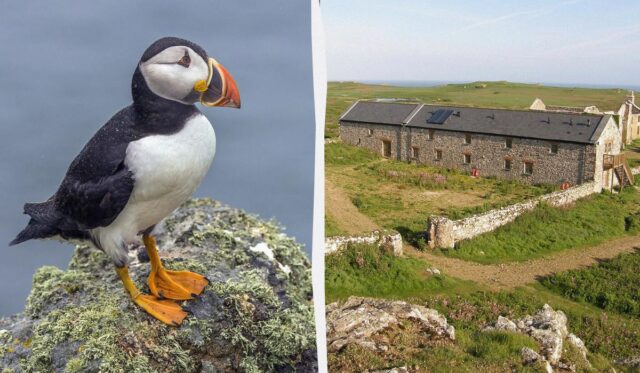 В Британії усім охочим пропонують “роботу мрії”, але є нюанс В-Британії-усім-охочим-пропонують-“роботу-мрії”,-але-є-нюанс