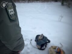 На Ківерцівщині троє браконьєрів вбили косулю На-Ківерцівщині-троє-браконьєрів-вбили-косулю