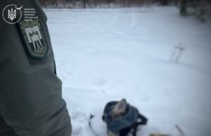 На Ківерцівщині троє браконьєрів вбили косулю На-Ківерцівщині-троє-браконьєрів-вбили-косулю