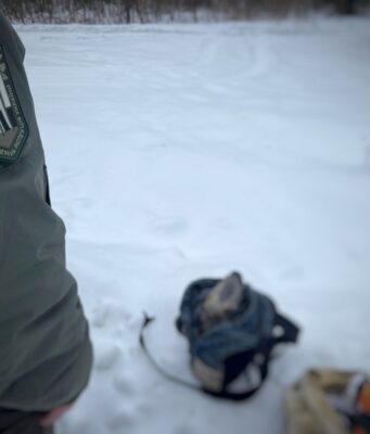 На Ківерцівщині троє браконьєрів вбили косулю На-Ківерцівщині-троє-браконьєрів-вбили-косулю