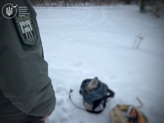 На Ківерцівщині троє браконьєрів вбили косулю На-Ківерцівщині-троє-браконьєрів-вбили-косулю