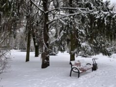 «Температурні гойдалки»: якої погоди очікувати найближчими днями на Волині «Температурні-гойдалки»:-якої-погоди-очікувати-найближчими-днями-на-Волині