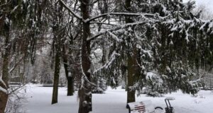 «Температурні гойдалки»: якої погоди очікувати найближчими днями на Волині «Температурні-гойдалки»:-якої-погоди-очікувати-найближчими-днями-на-Волині