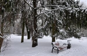 «Температурні гойдалки»: якої погоди очікувати найближчими днями на Волині «Температурні-гойдалки»:-якої-погоди-очікувати-найближчими-днями-на-Волині