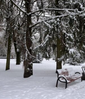 «Температурні-гойдалки»:-якої-погоди-очікувати-найближчими-днями-на-Волині