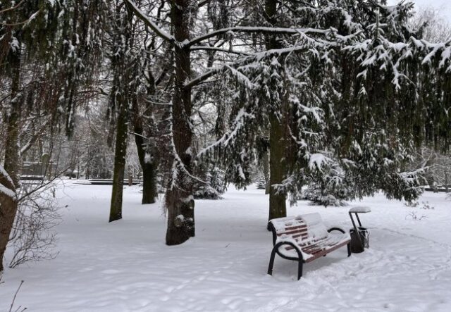«Температурні гойдалки»: якої погоди очікувати найближчими днями на Волині «Температурні-гойдалки»:-якої-погоди-очікувати-найближчими-днями-на-Волині