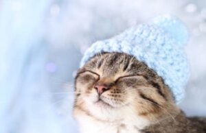 З понеділка в Україні знову – до 23° морозу З-понеділка-в-Україні-знову-–-до-23°-морозу