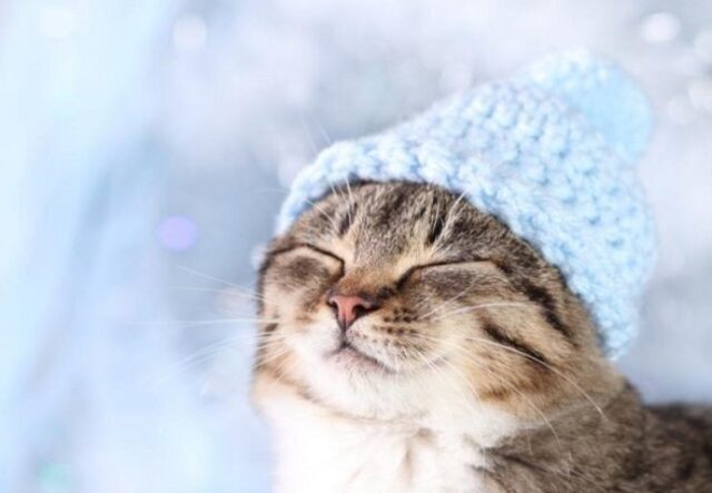 З понеділка в Україні знову – до 23° морозу З-понеділка-в-Україні-знову-–-до-23°-морозу