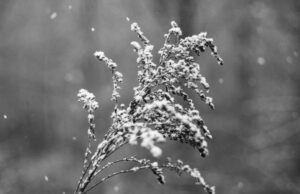 На Харків суне негода: про що попереджають синоптики та коли вдарять люті морози На Харків-суне-негода:-про-що попереджають-синоптики-та коли-вдарять-люті-морози